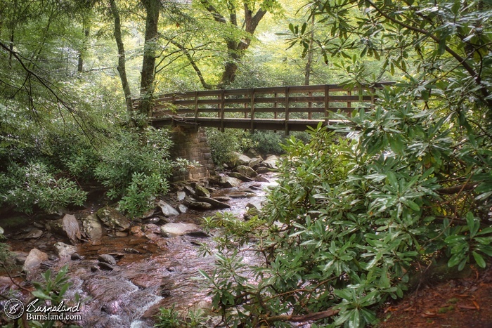 A footbridge crosses a stream in Great Smoky Mountains National Park in Tennessee, as seen during the warmer days of our July 2021 visit.