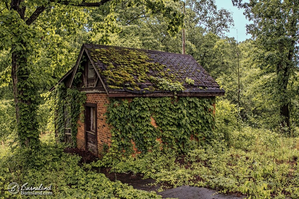 building in the green-detail