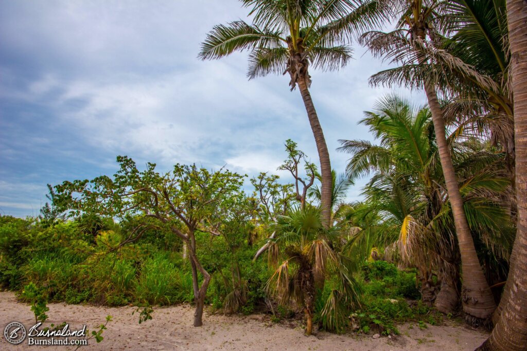 Castaway Cay, Disney’s Bahamas Island