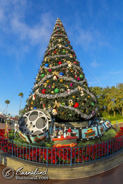 Christmas Tree at Disney’s Hollywood Studios