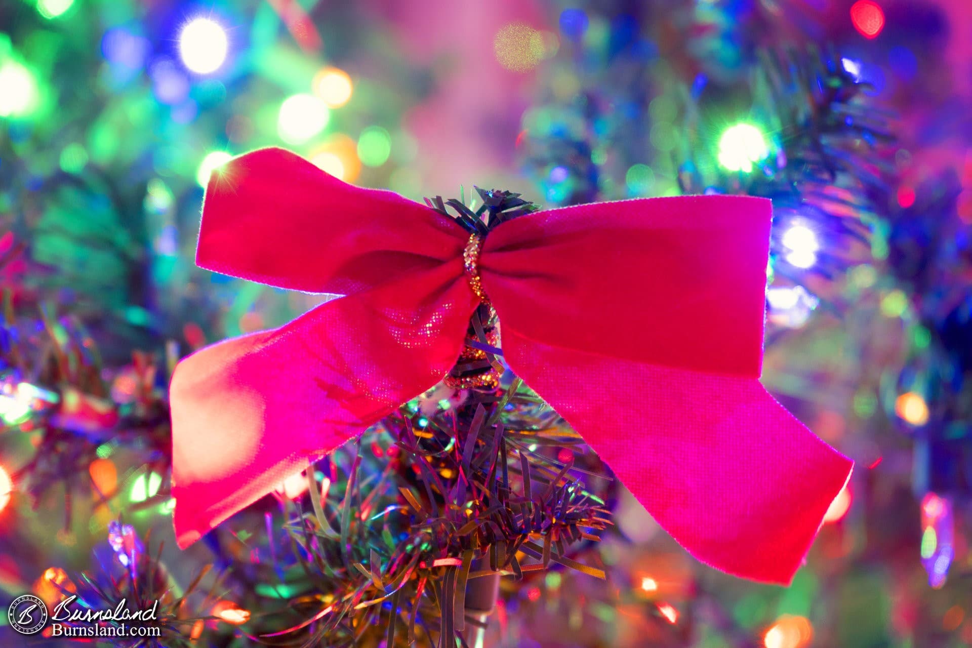 Bow on the Christmas Tree