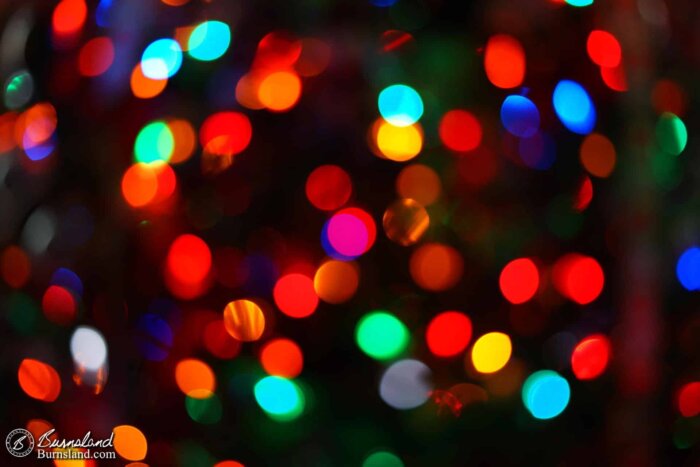 Out-of-focus lights on our Christmas tree create an interesting look known as bokeh