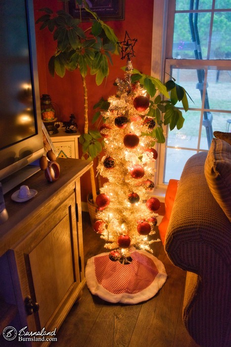 Christmas tree in the den