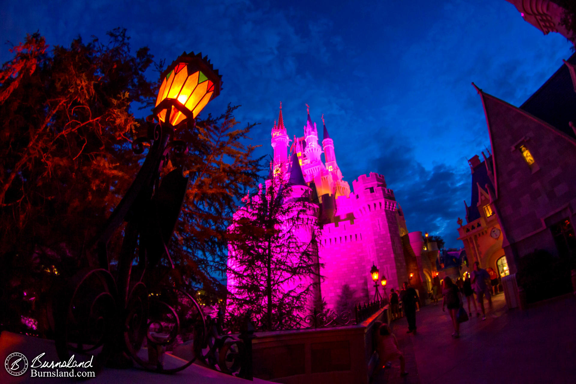 Cinderella Castle in Pink