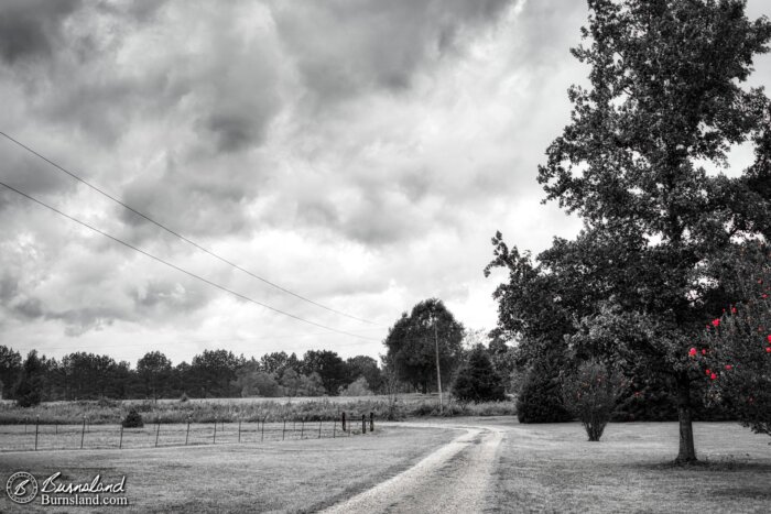 Hurricane Laura’s remnants filled the sky above our driveway with clouds, as seen here in another entry in the 50with50 series. And even in the dark times, there is still hope.