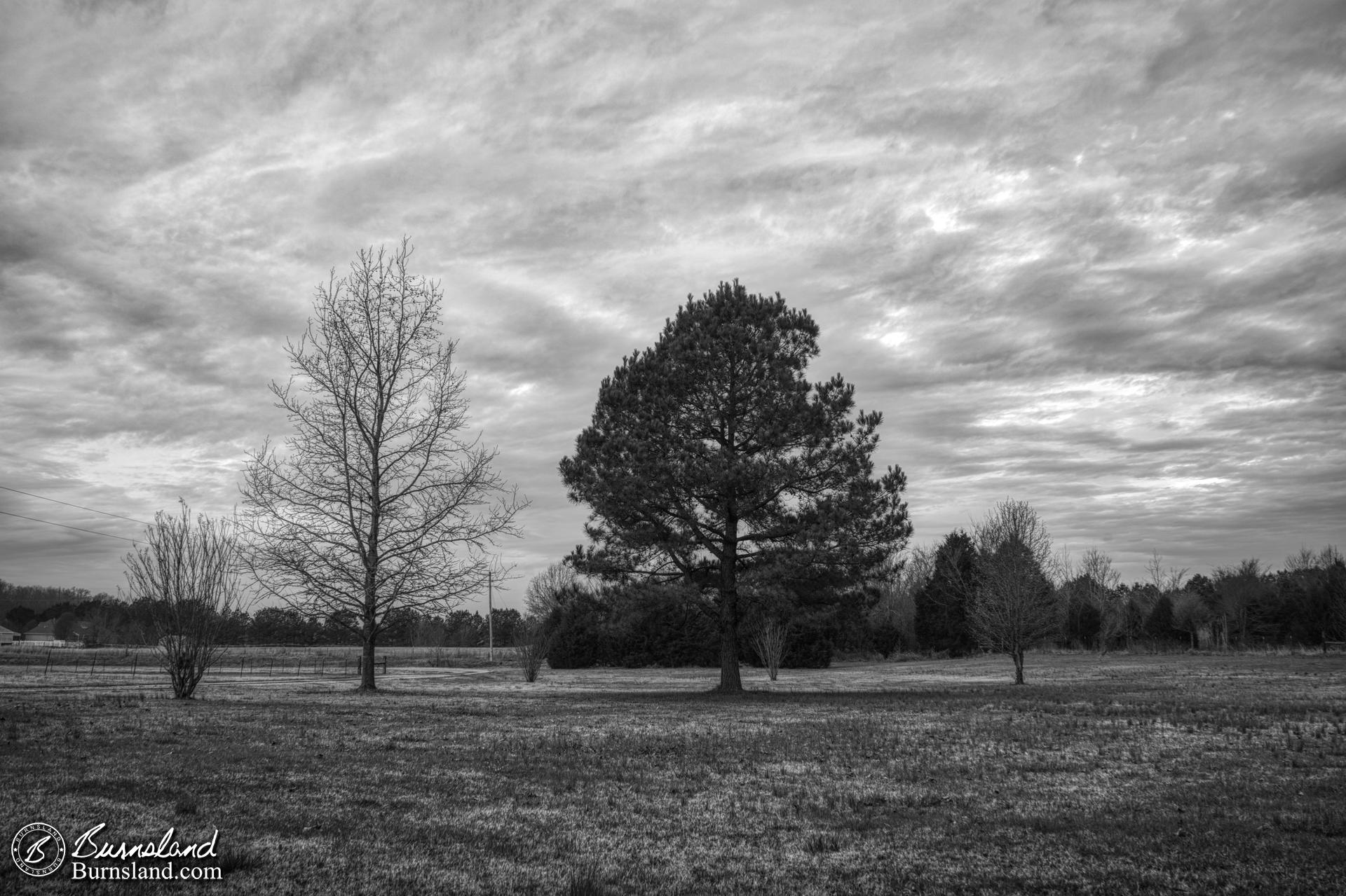 A cloudy sky on a winter day in the front yard at our house