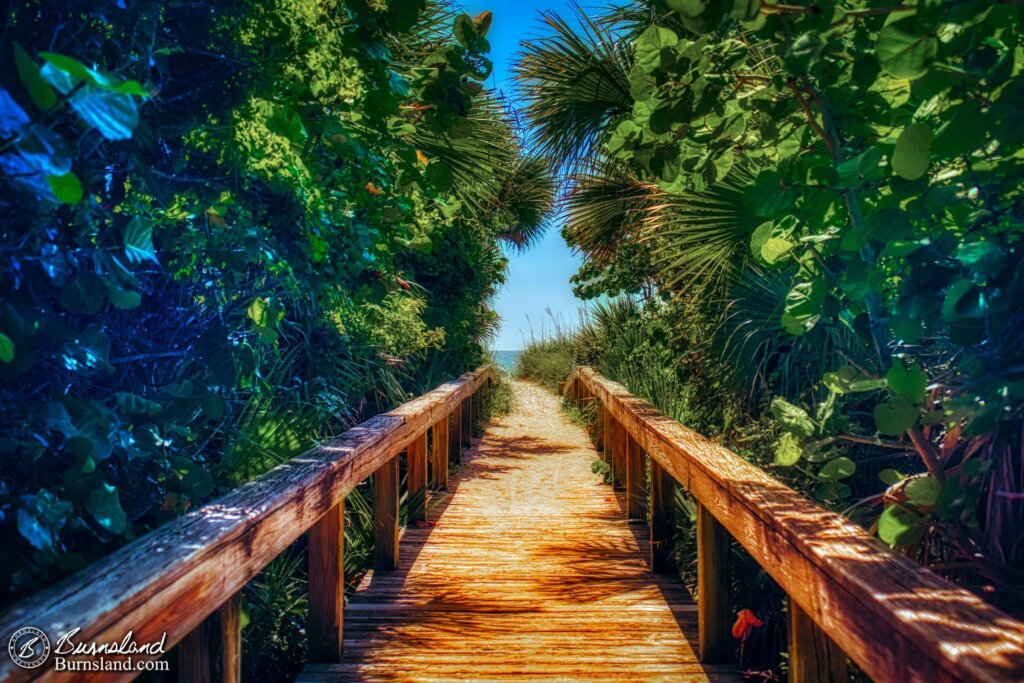 A wooden boardwalk leads over the dunes and out to the beach at Lori Wilson Park in Cocoa Beach, Florida