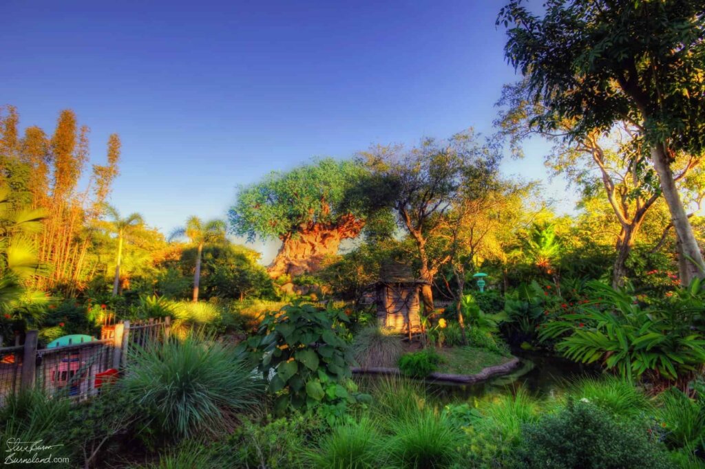 Garden in Disney’s Animal Kingdom at Walt Disney World