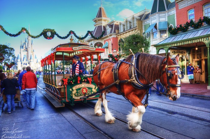 Daily Photo: Christmas on Main Street