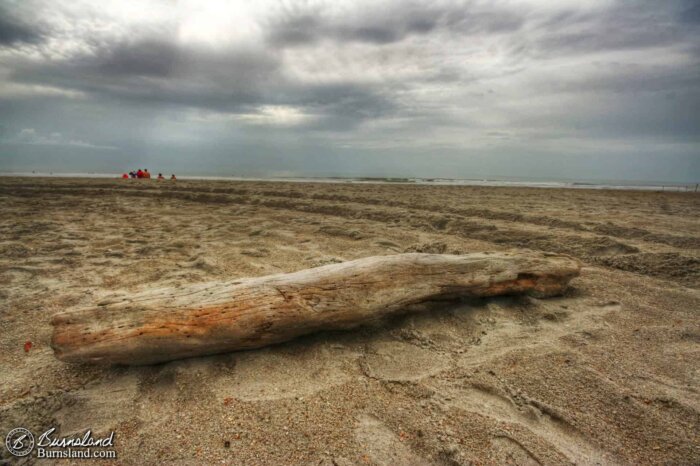 Driftwood on the beach at Cocoa Beach, Florida