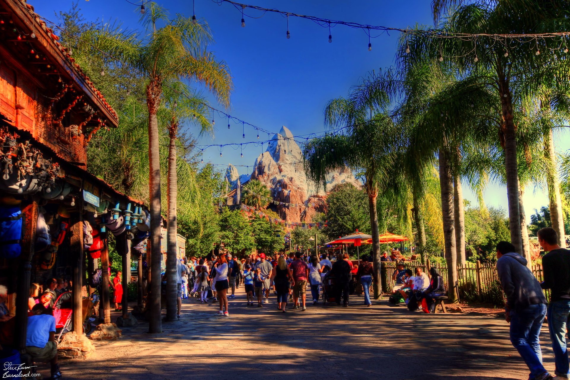 Expedition: Everest in Disney’s Animal Kingdom at Walt Disney World