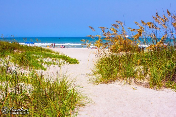 Daily Photo: Sea Oats and Sand