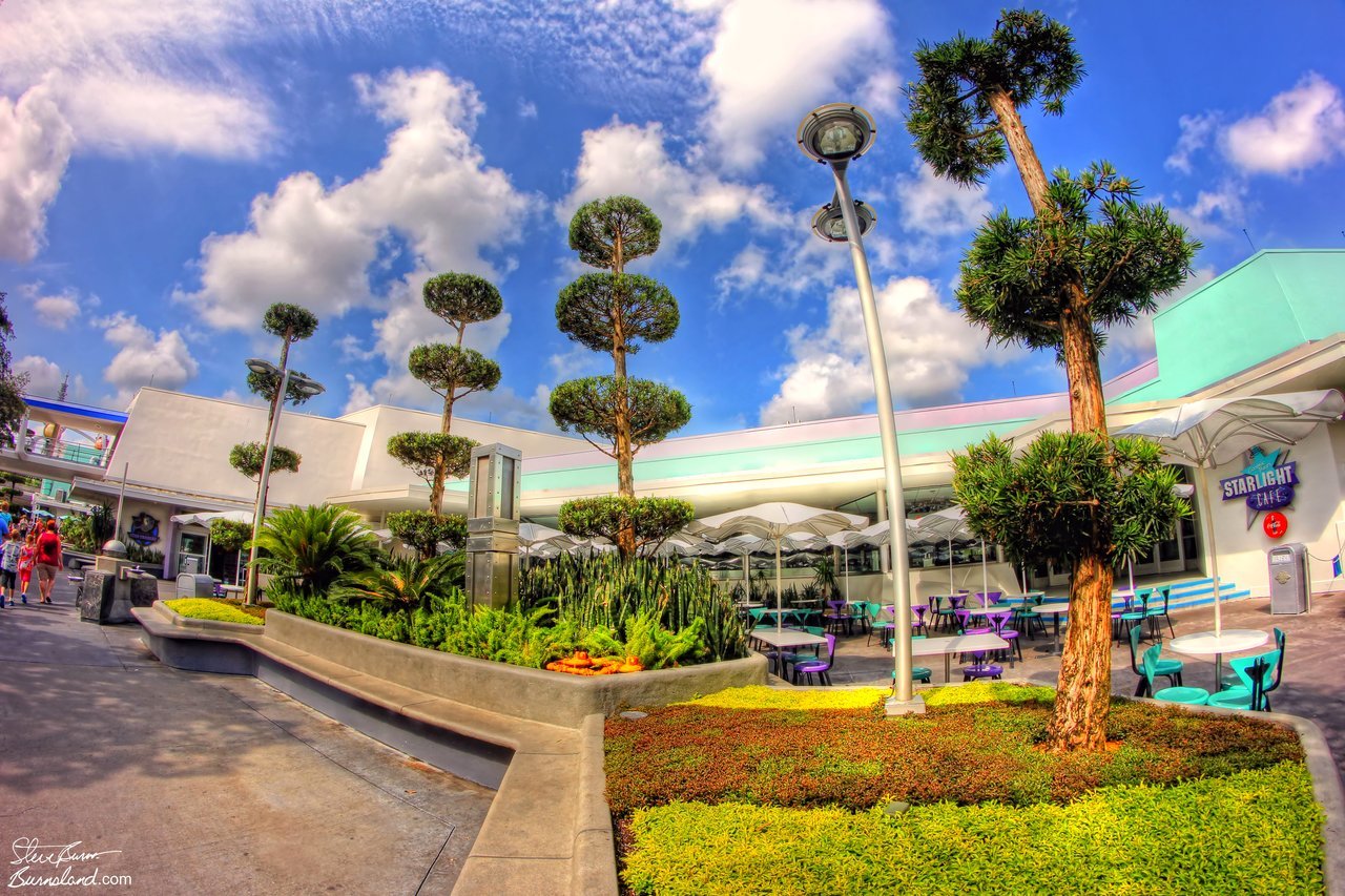 Daily Photo: Tomorrowland Trees