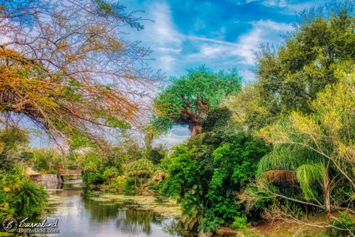 The Discovery River flows past the Tree of Life in Disney’s Animal Kingdom at Walt Disney World