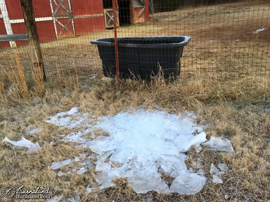 Ice from the water trough