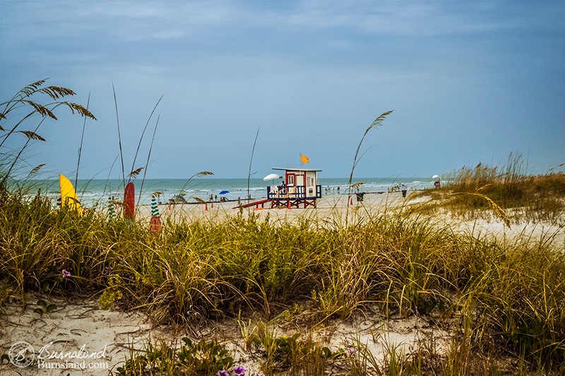 Winter days are always good days for dreaming of the beach in summer. Read all about it at Burnsland!