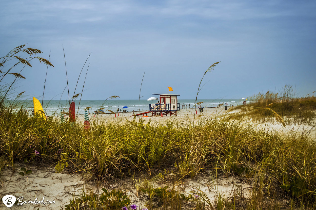 Dreaming of the Beach on a Winter Day