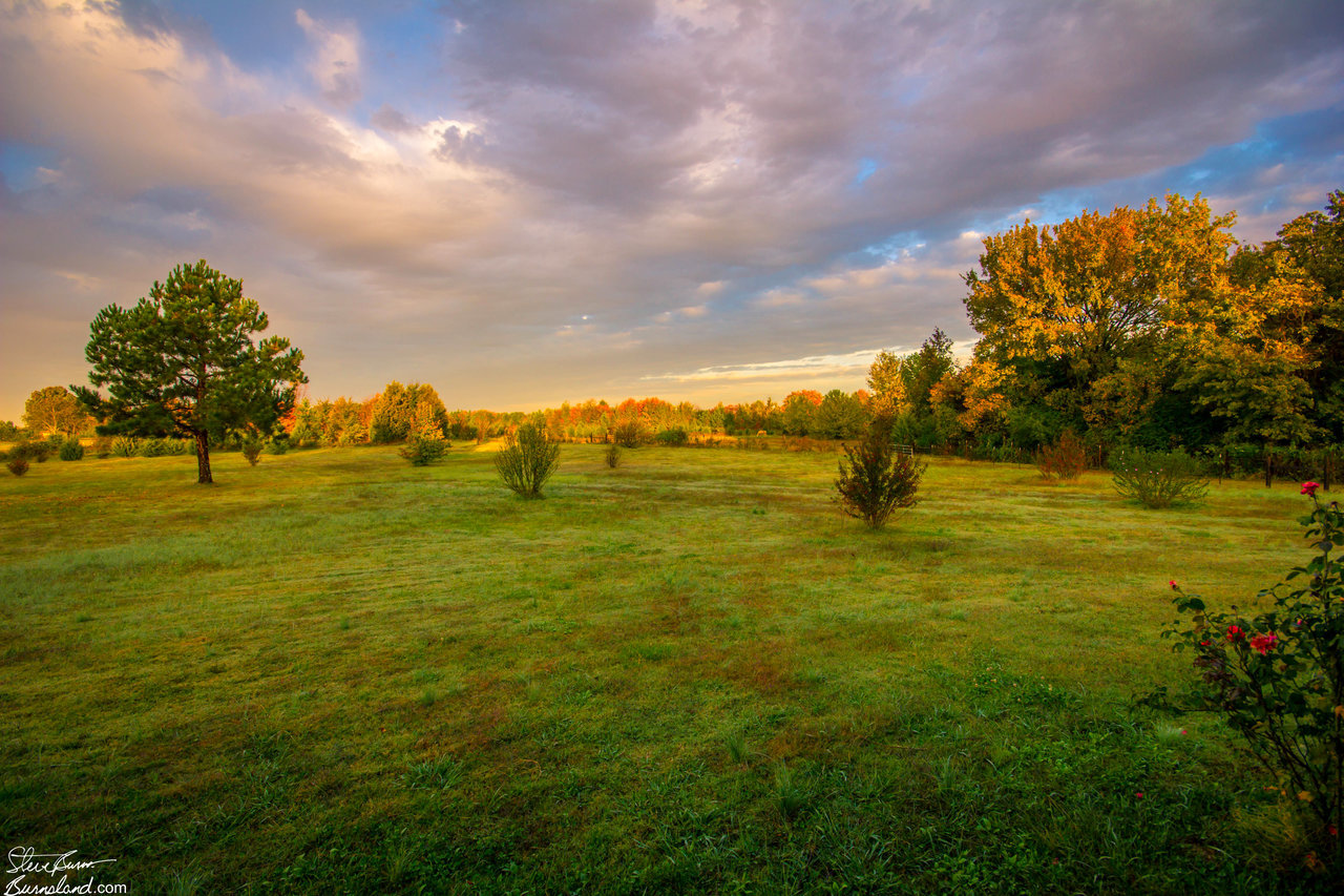 Early Fall Morning