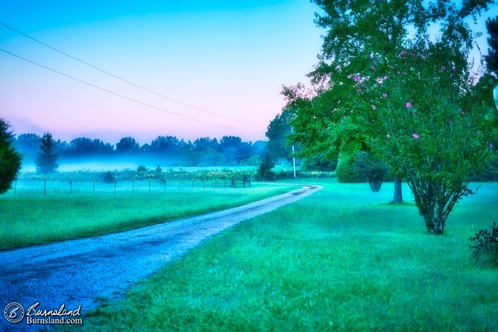 An early morning view in early fall