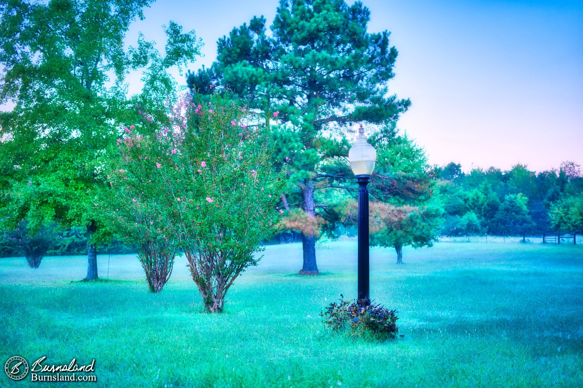 A light pole in our yard early one early-fall morning