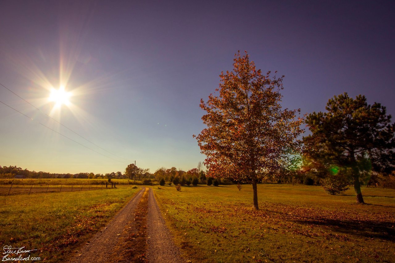 Fall afternoon