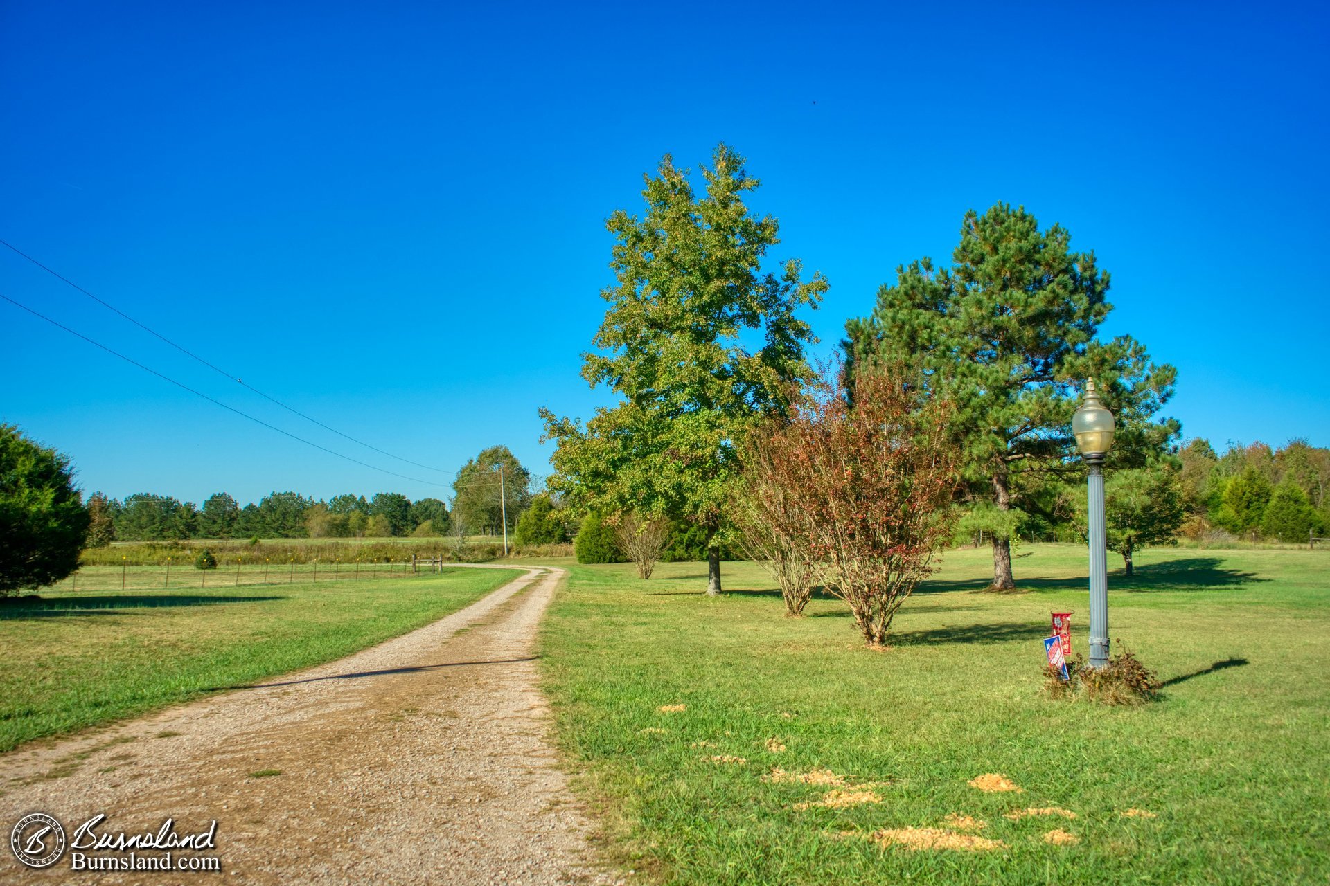 A fall view down the driveway