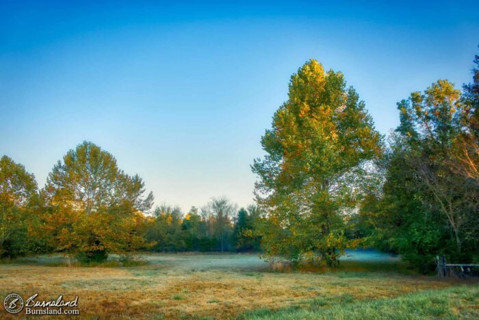 Fall colors and mist in the horst pasture