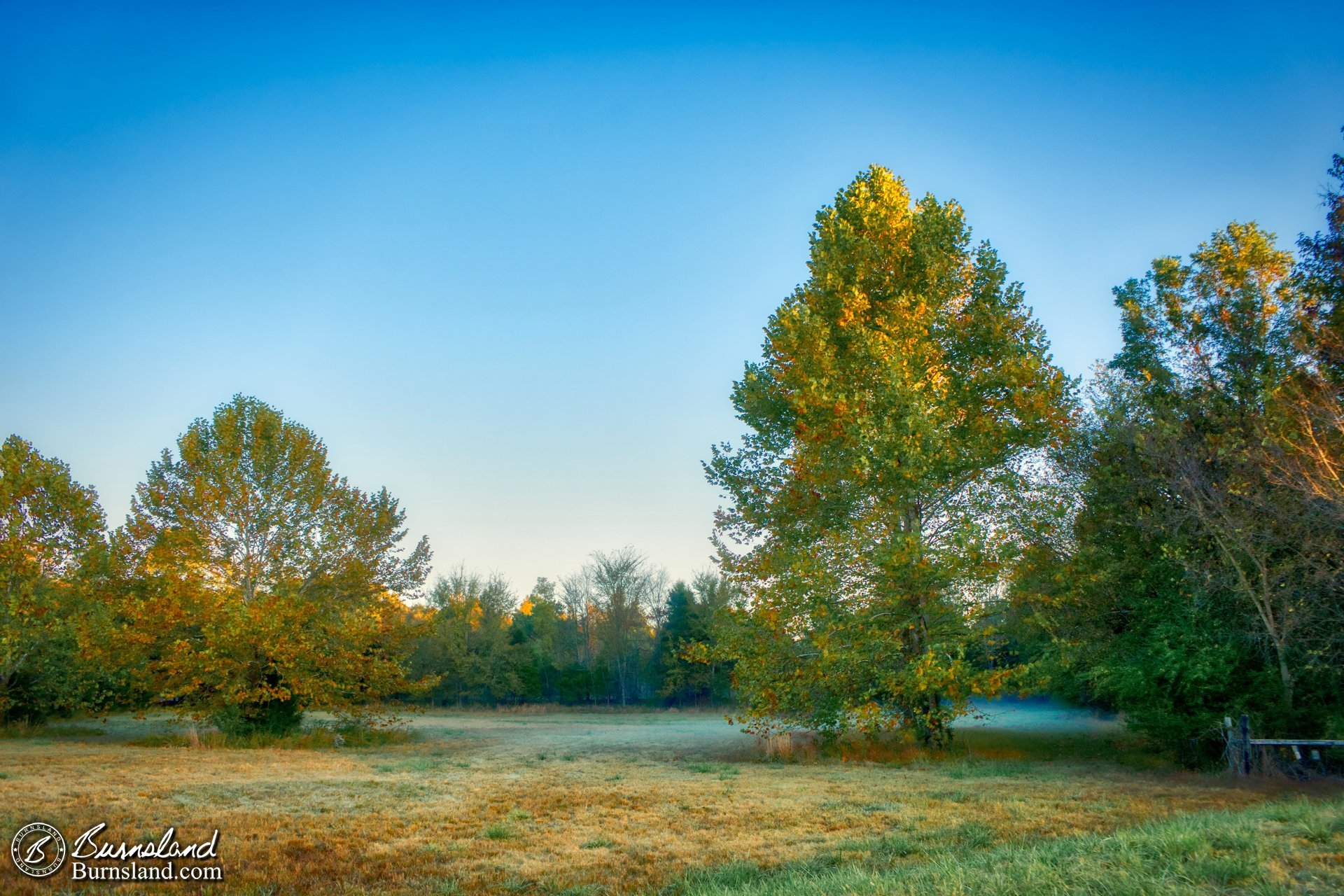 Fall Colors In Our Yard Part 2