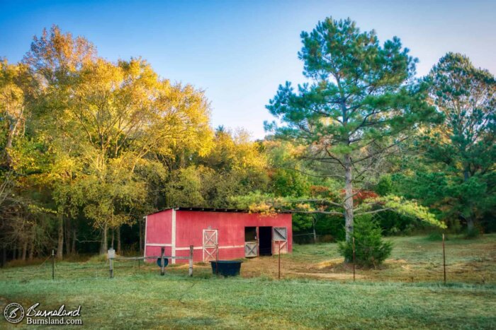 Fall colors at the barn