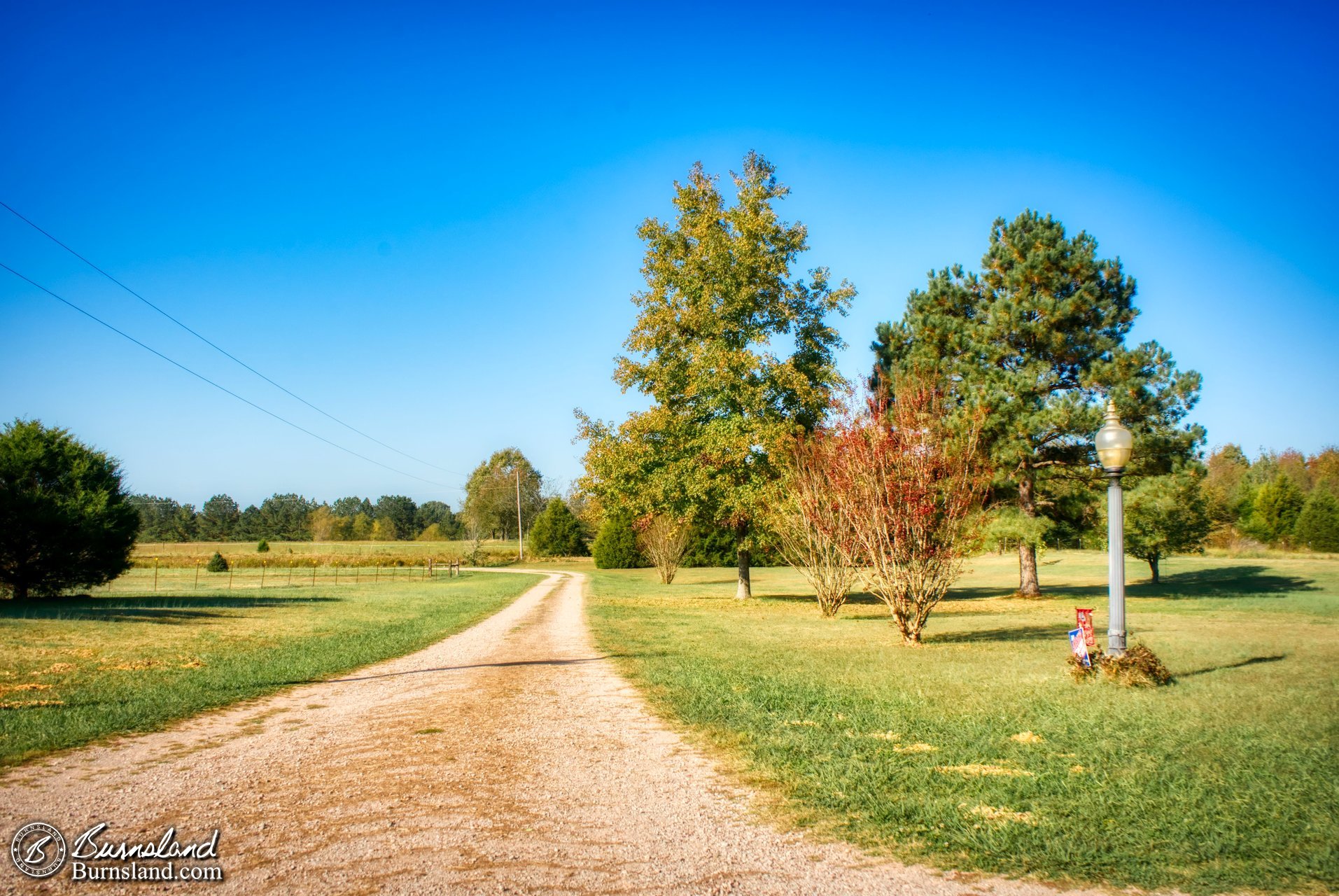 A view down the driveway