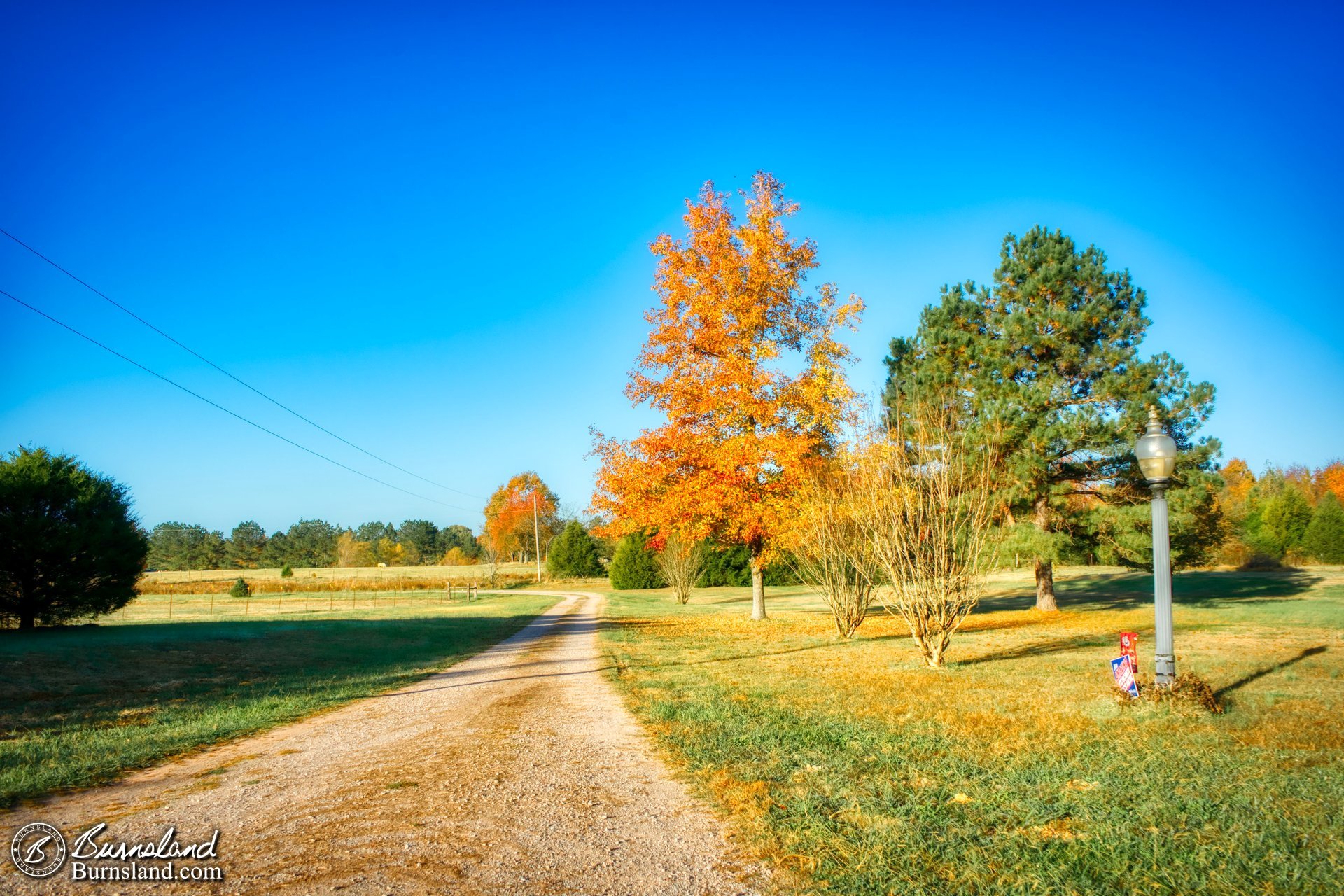 A colorful view down the driveway