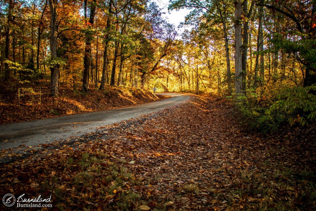 Fall Colors in Tennessee