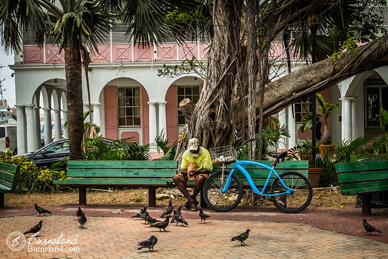 Feeding the Birds in Nassau Bahamas