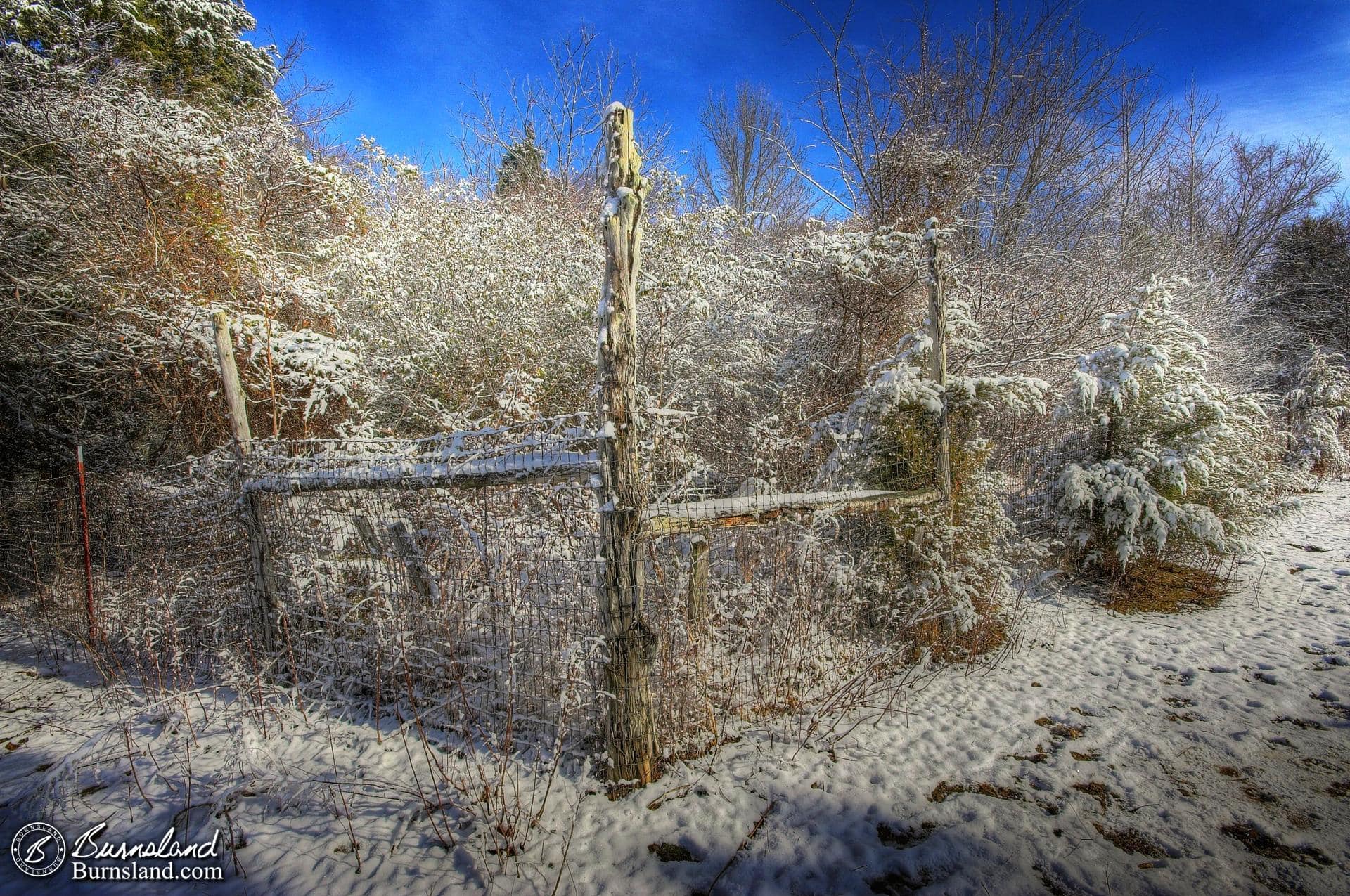 Fence corner in the snow