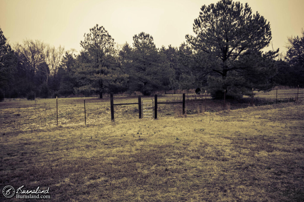 Fence in the rain