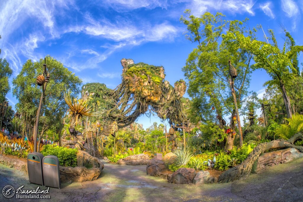 Floating mountains of Pandora in Disney’s Animal Kingdom at Walt Disney World