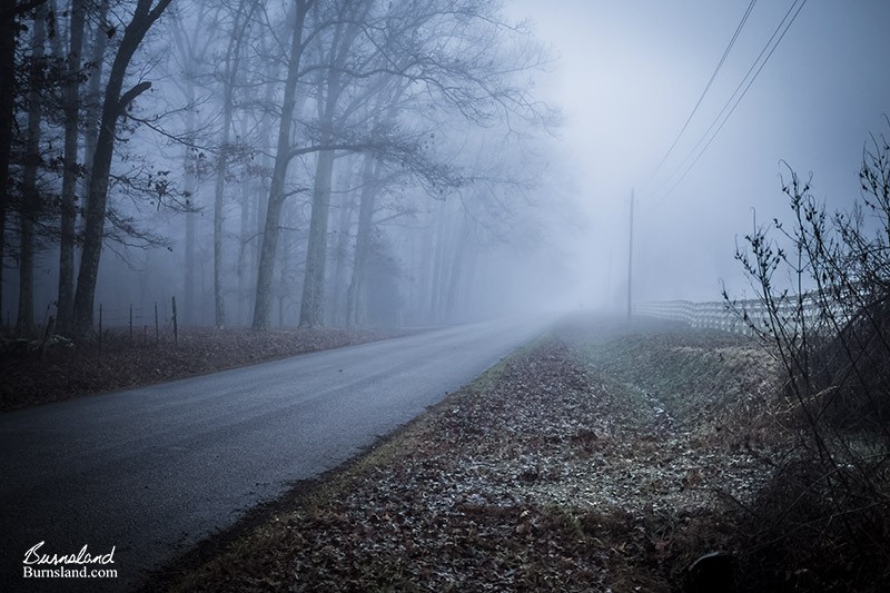 Foggy Morning Down the Road