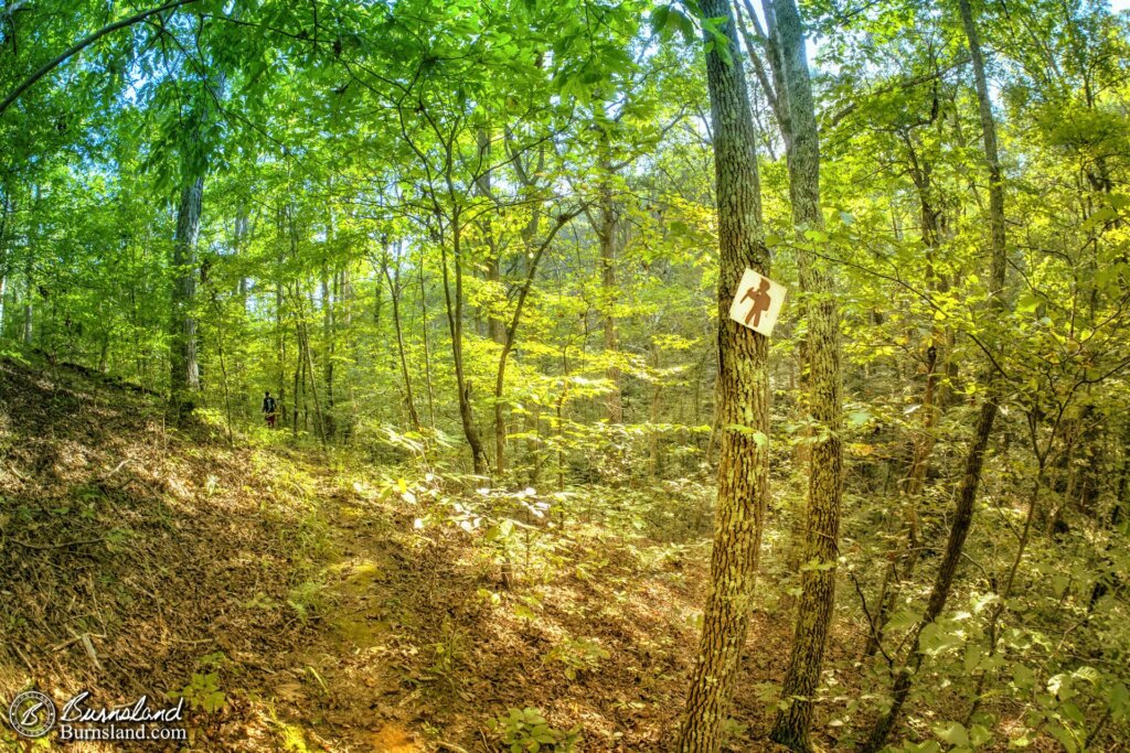 Follow the Signs, from Big Hill Pond State Park