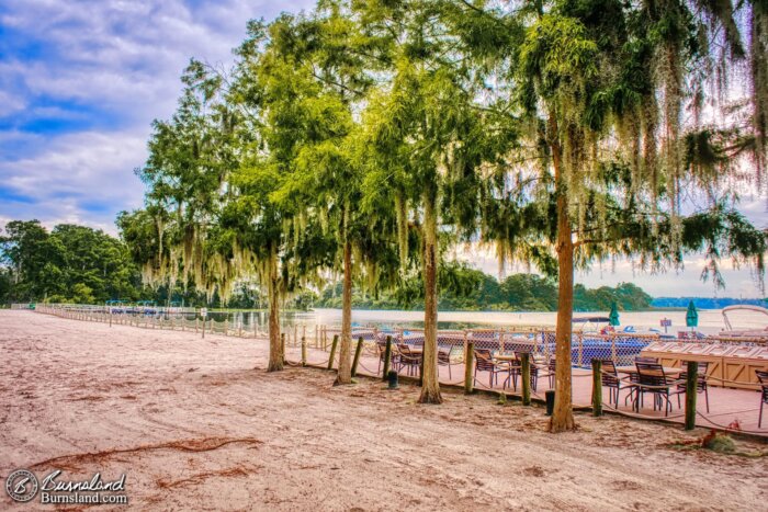 Trees and sand along the beach at Fort Wilderness Campground at Walt Disney World