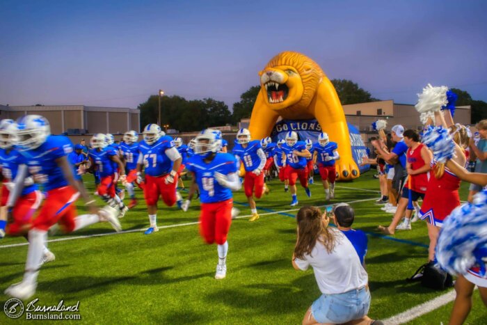 The Harding Academy football team in Memphis, Tennessee, runs through the Lion and the “spirit tunnel” of cheerleaders and fans before a Friday night football game.