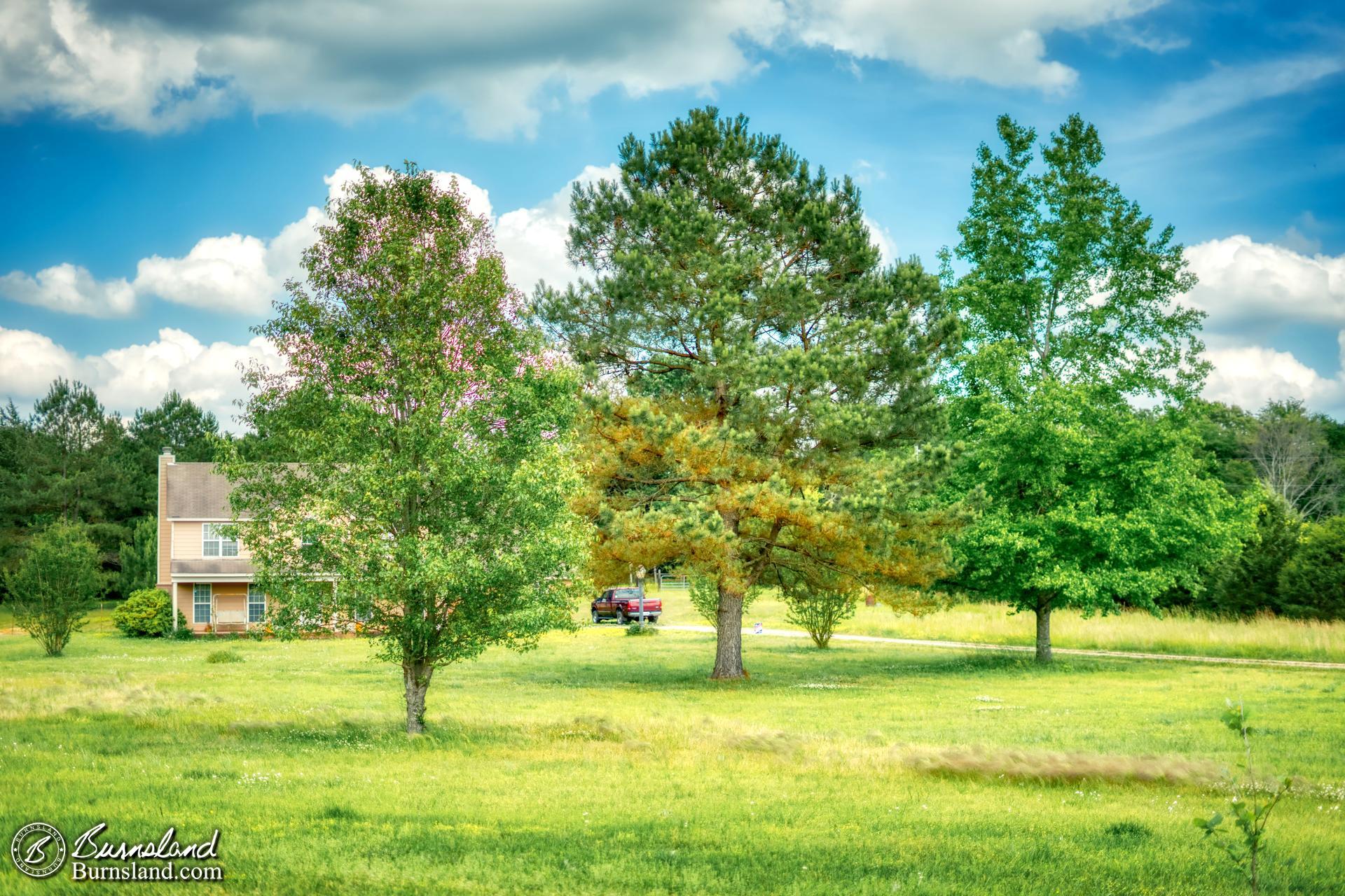 Trees fill the front yard of our house in the latest entry in the 50with50 series. And in a roundabout way they remind me of how we can make a positive change.