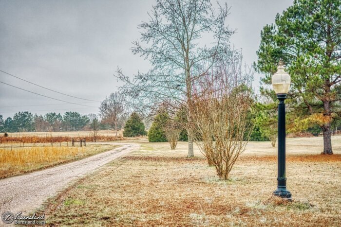 Our front yard on a recent winter morning