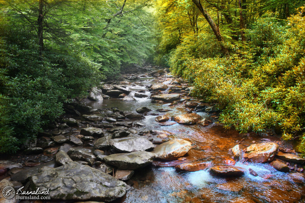 Before-and-after view of the Great Smoky Mountains stream