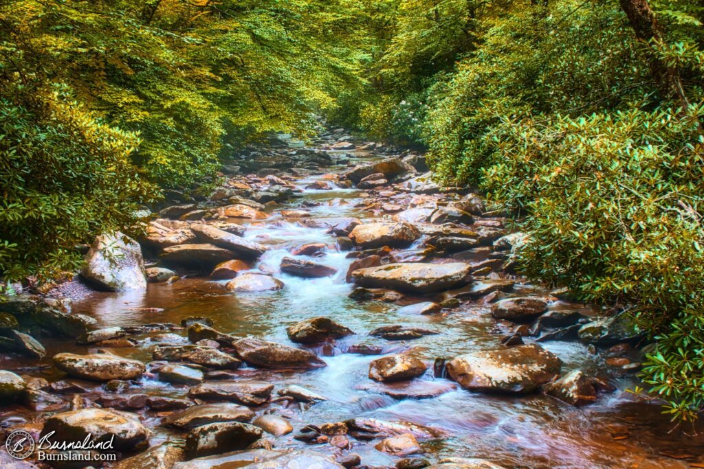 Another view of the mountain stream in the Great Smoky Mountains