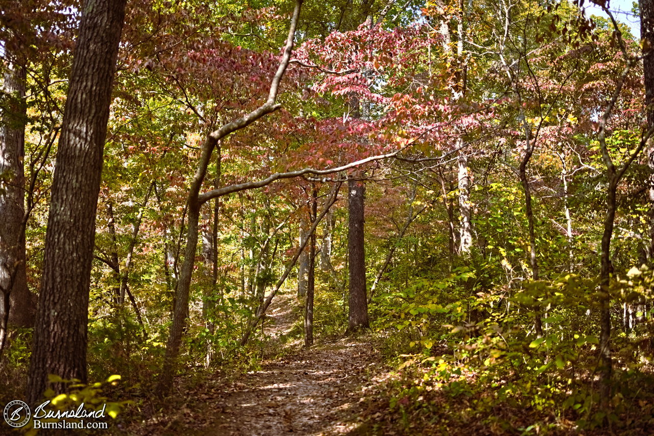 Grand Gulf State Park in Missouri