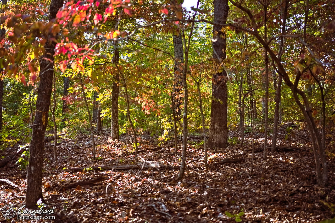 Grand Gulf State Park in Missouri