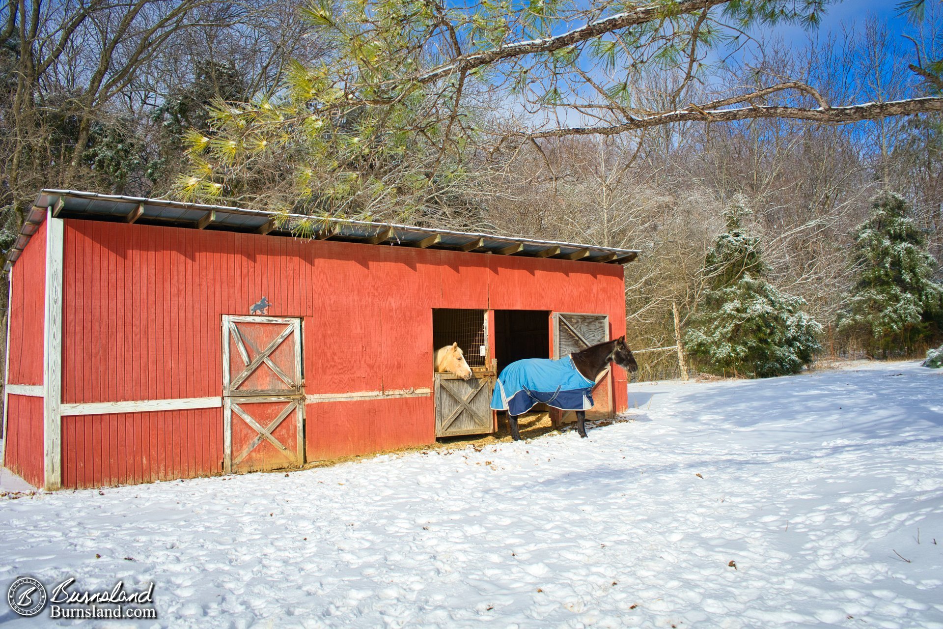 Snow at the horse barn