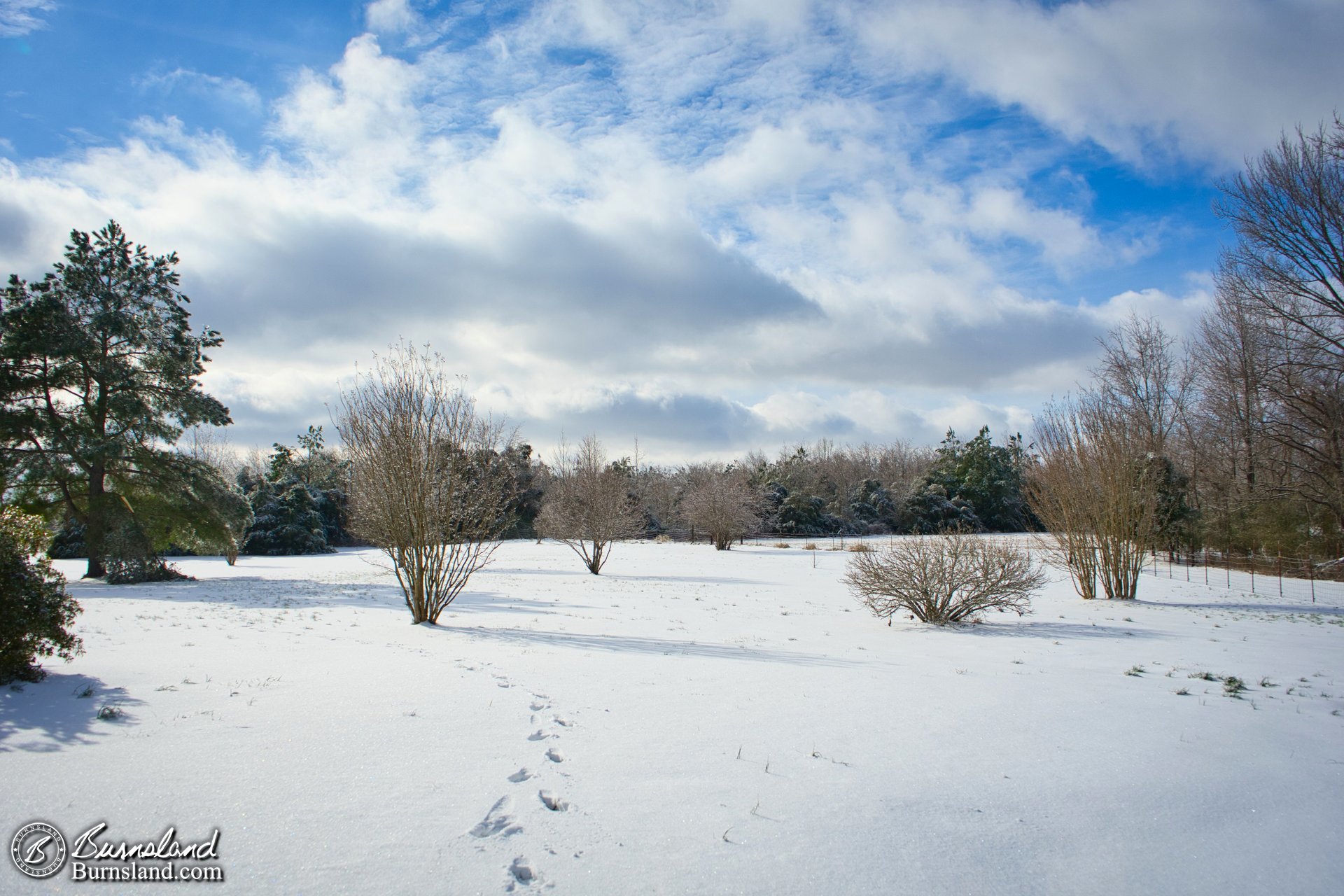 Front yard view