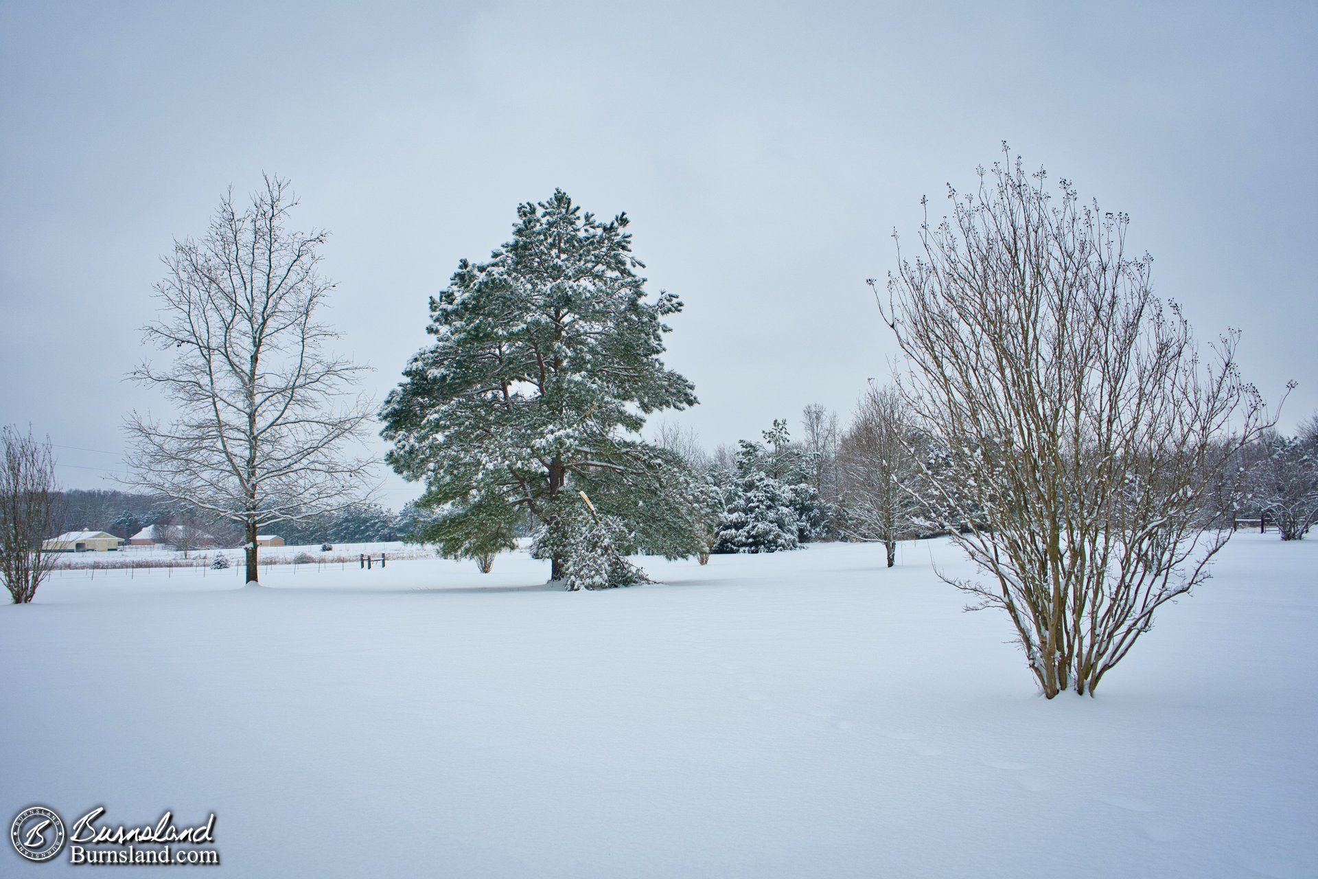 A snowy view across the front yard