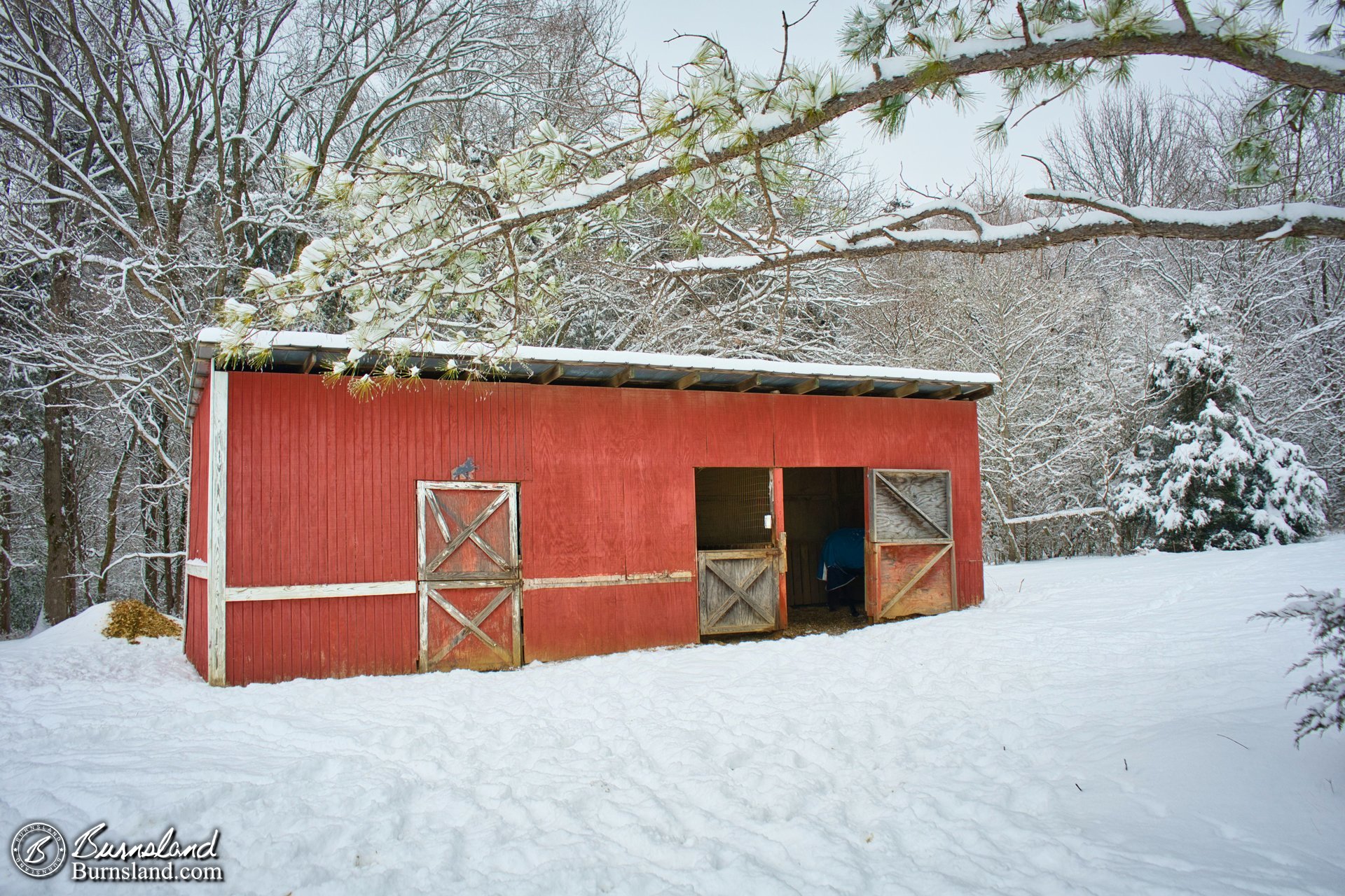 Barn in the snow